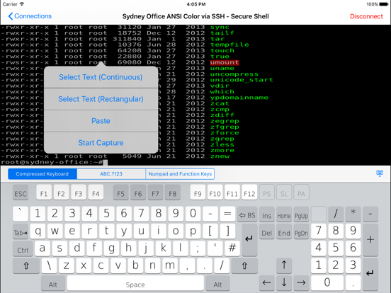 TTerm Plus app screenshot