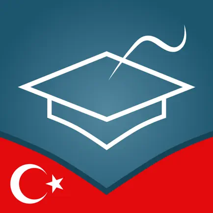 Turkish Essentials Читы