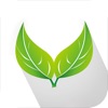 Herb Remedy - iPadアプリ