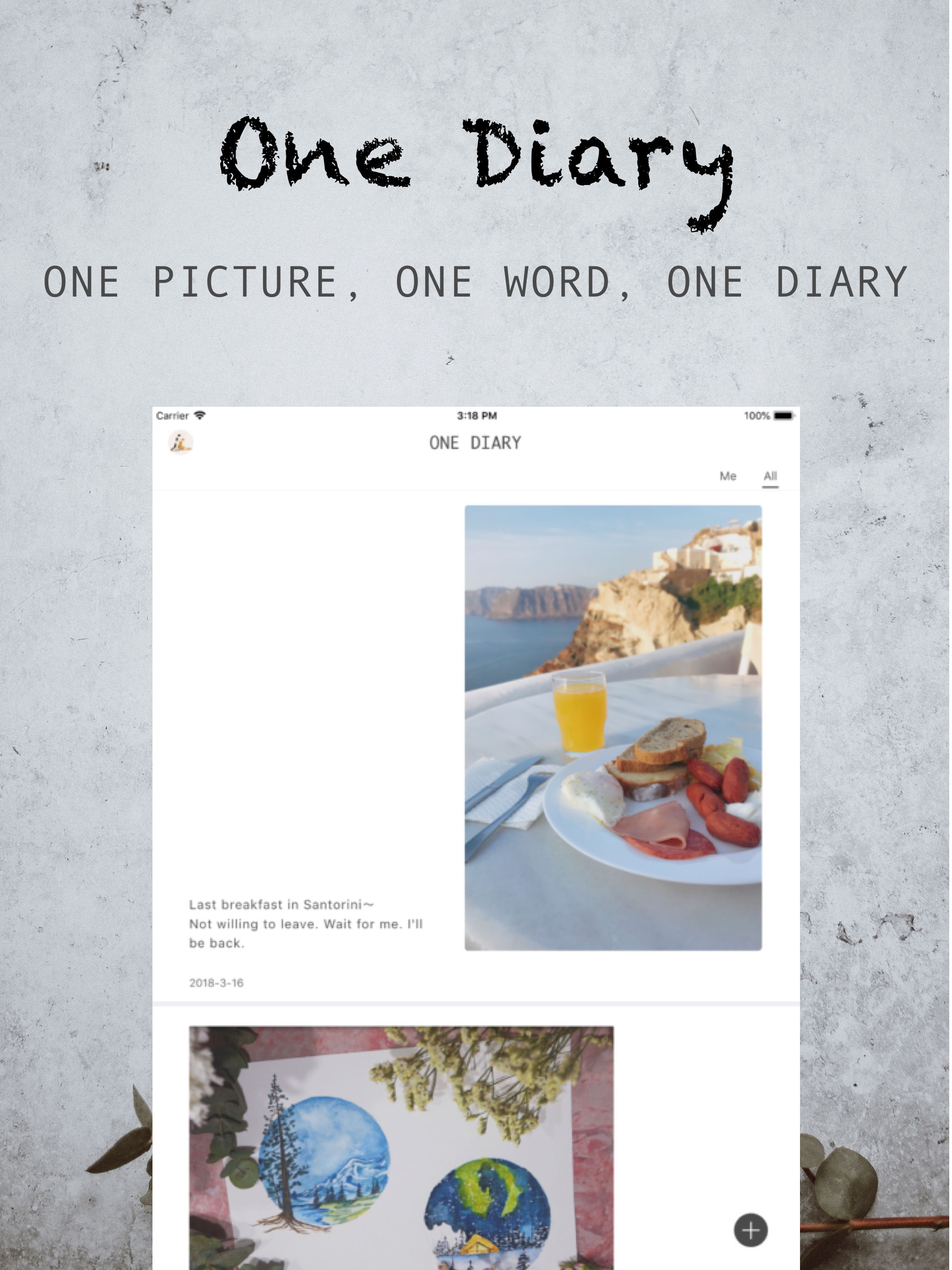 One Diary!
