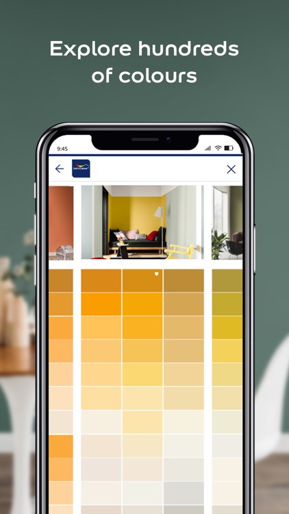 Dulux Visualizer MY