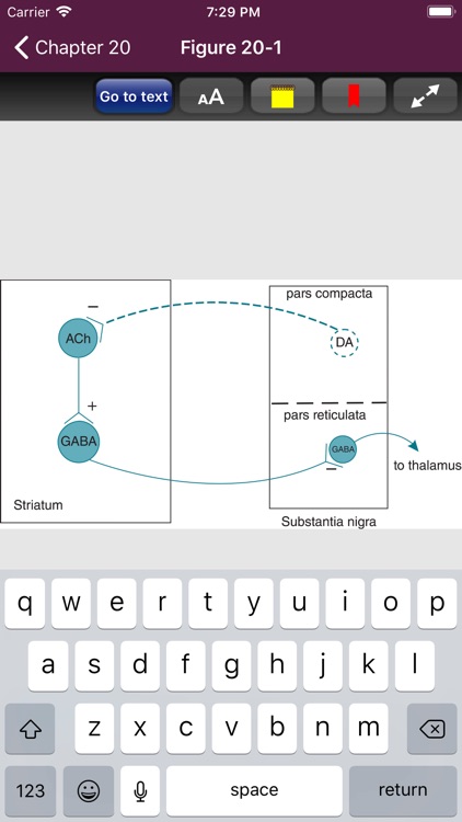 Basic Concepts Pharmacology 5E screenshot-3