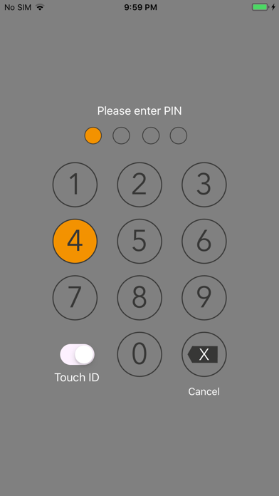 Money Forecast: CashFlow Screenshot