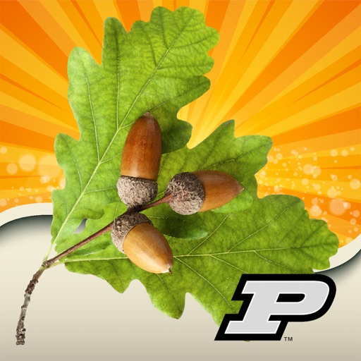 Purdue Tree Doctor icon