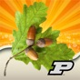 Purdue Tree Doctor app download