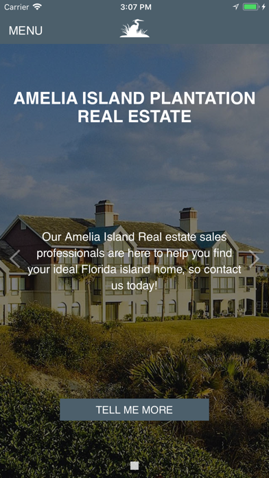 Amelia Island Real Estate Screenshot