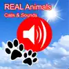 2000+ Animal Sounds Calls delete, cancel