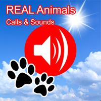 2000+ Animal Sounds Calls