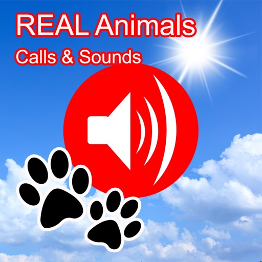 2000+ Animal Sounds Calls icon