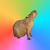Capybara Stickers for Messages - iPadアプリ