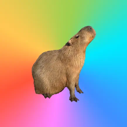 Капибара - Capybara Стикеры Читы