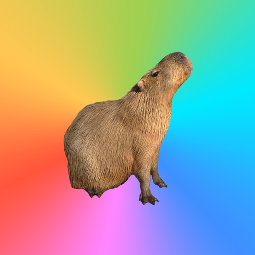 Capybara Stickers for Messages Icon