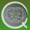 CT PassQuiz Chest / MRI icon