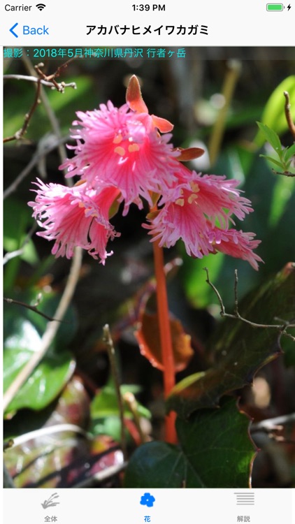 シンプル野草リストPro