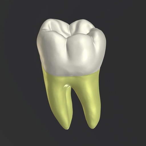 3D Tooth Anatomy iOS App