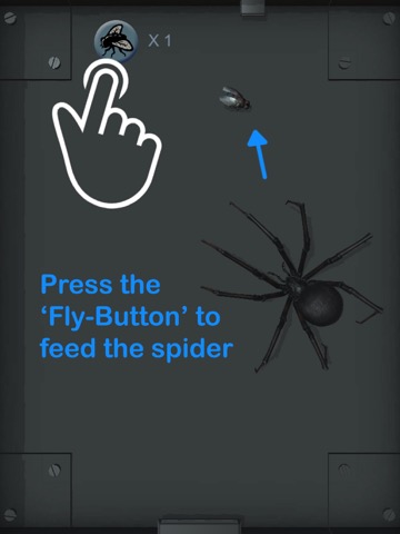 Spider Pet - Creepy Widowのおすすめ画像3
