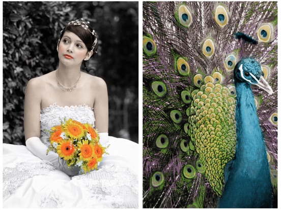 Hand Tint Pro iPad screenshot 10 - Photo & Video app