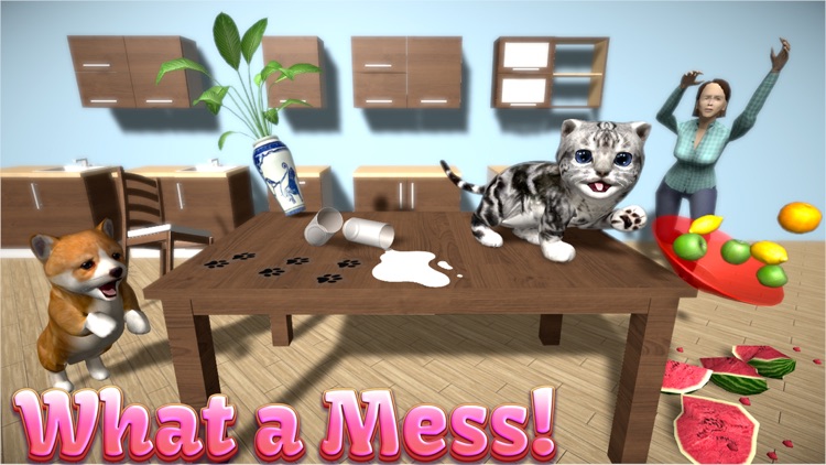 Cat Simulator: Kittens screenshot-0