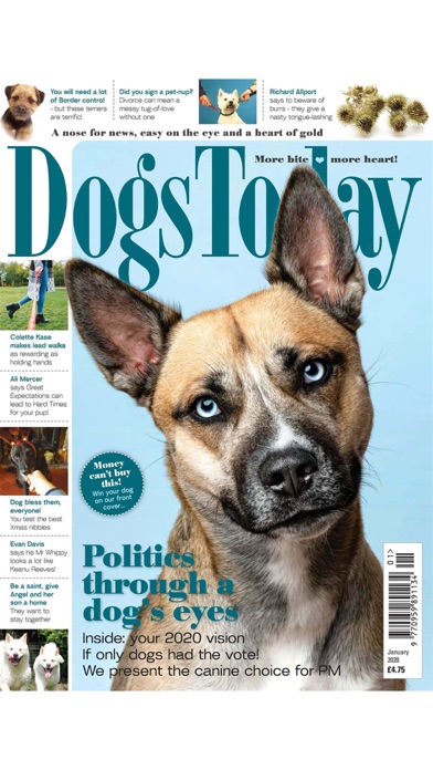 Dogs Today Magazineのおすすめ画像8