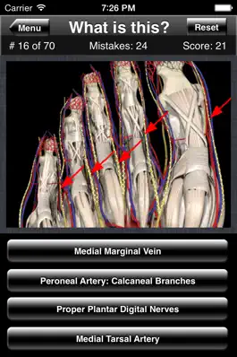 Game screenshot Anatomy Foot Quiz apk