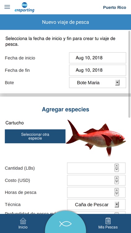 eReporting screenshot-7