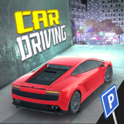 Car Driving School Modern City