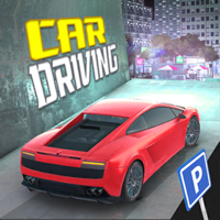 Car Driving School Modern City