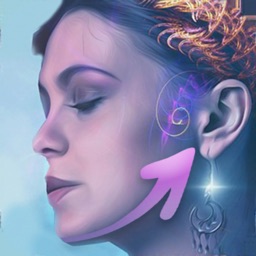 Face Transformer (Face MORPH)