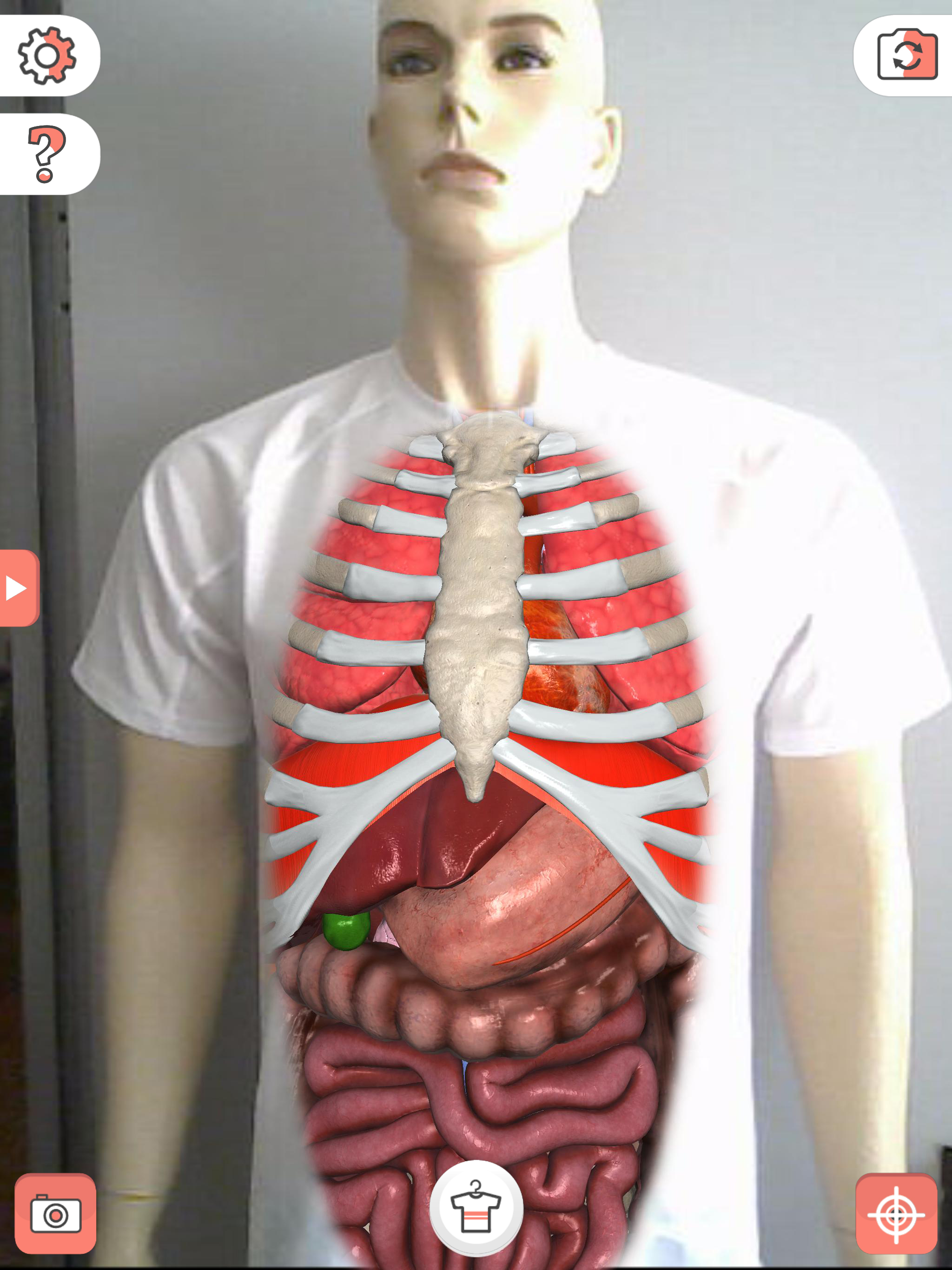 Magic T-shirt