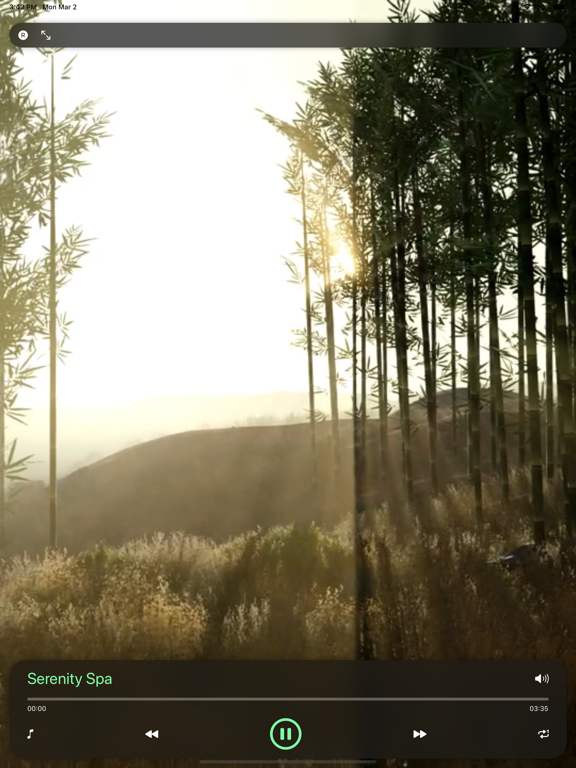 Screenshot #5 pour Remèdes Ayurveda