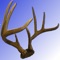 iGoHunting is not a game