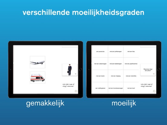 Lexico Cognitie iPad app afbeelding 5