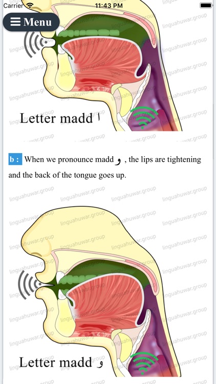 Arabic Alphabet Eng Pro screenshot-8