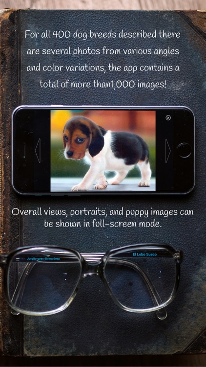 Dog Breeds of the World screenshot-3