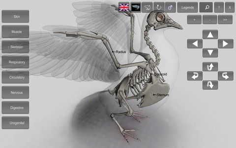 3D Bird Anatomyのおすすめ画像5