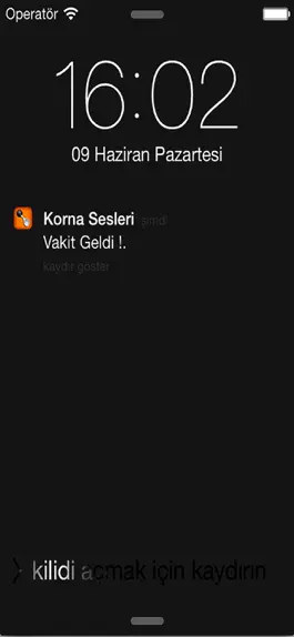 Game screenshot Korna Sesleri hack