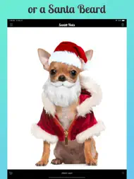Santa Hats 2 ipad bilder 2