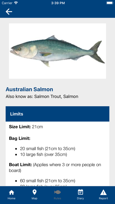 SA Fishing Screenshot