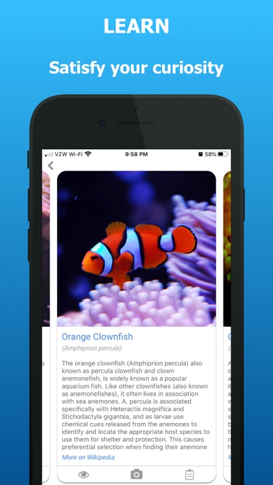 iSea Marine ID Screenshot