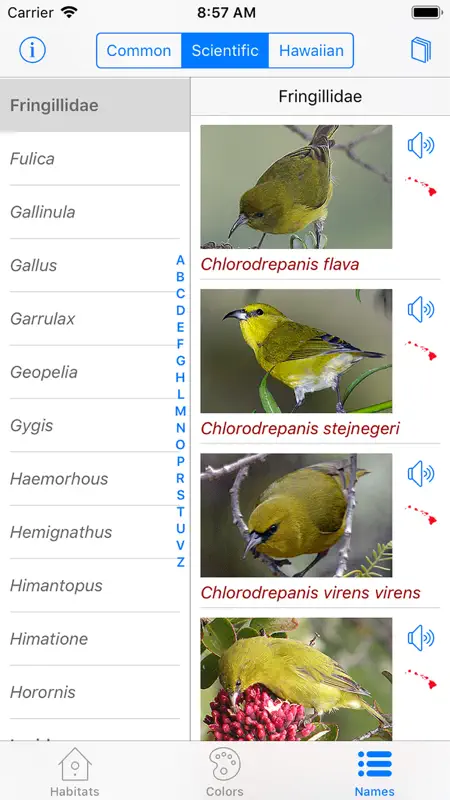 Bird ID Hawaii screenshot 8 of 10