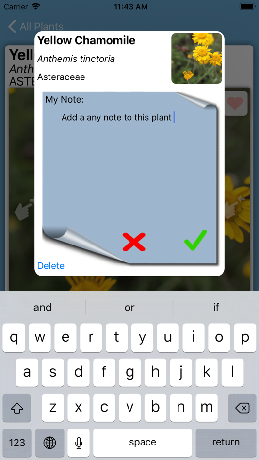 #5. Flower Field (iOS) By: Per Leif Dogger