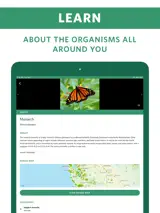 Seek by iNaturalist 3