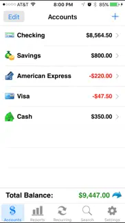 accounts 2 lite - checkbook iphone screenshot 2