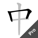 Chinese Strokes Order Pro App Support
