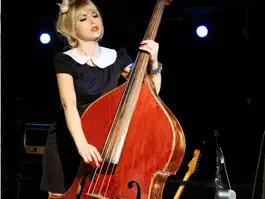 Game screenshot Double Bass Lessons & Learn mod apk