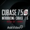 Steinberg’s Cubase 7