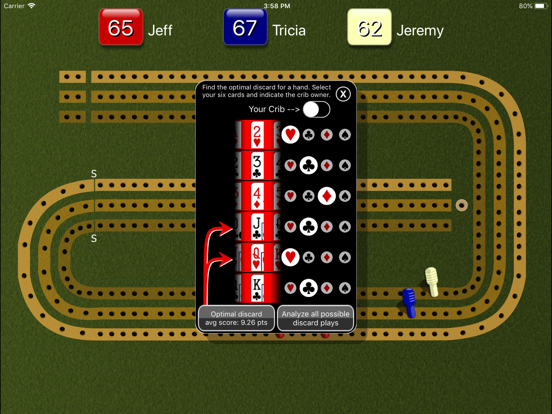 Cribbage Pegboard iPad screenshot 5 - Games app