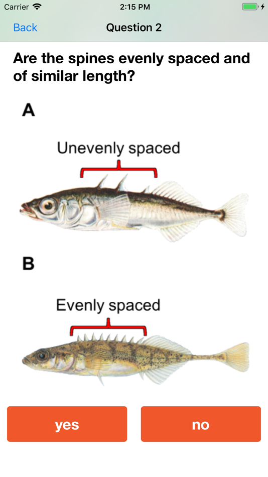 #2. Baitfish Primer (iOS) 由: Evelyn Liu