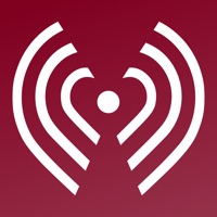 Sphygmo BP & Glucose PC 용