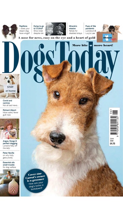 Dogs Today Magazineのおすすめ画像5